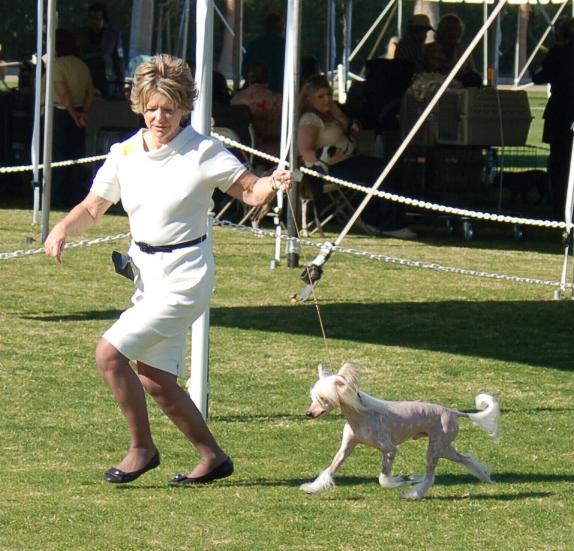 Parade